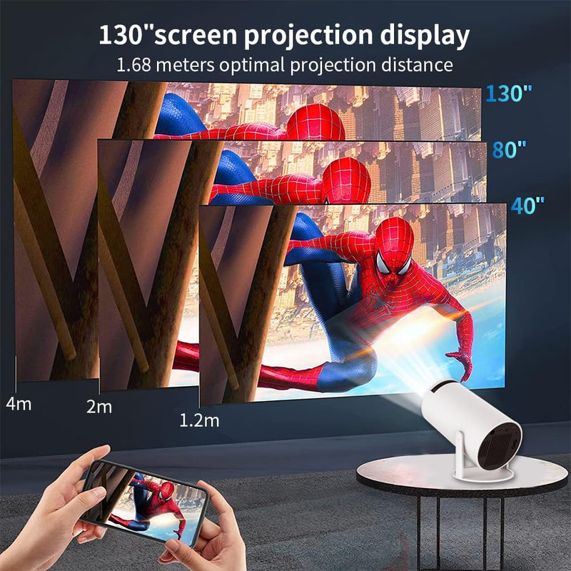 FlexiView 300 Home Theater