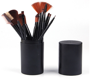 Makeup brush Set