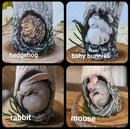 Animal Mushroom House